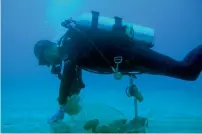  ??  ?? A diver takes part in cleaning the seabed off the coastal city of Batroun, north of Beirut. —