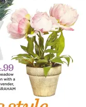  ??  ?? £12 The Linea potted peony will pretty up your look, HOUSE Of fraser