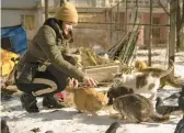  ?? VADIM GHIRDA/AP ?? Tetiana Kurkh feeds cats left behind by their owners Friday in the Saltvika neighborho­od of Kharkiv, Ukraine. The city has been badly damaged by Russian shelling.