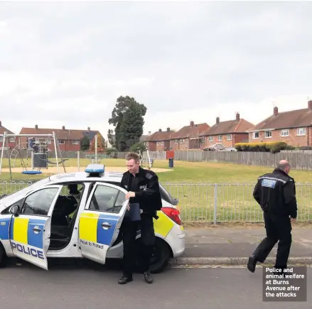  ??  ?? Police and animal welfare at Burns Avenue after the attacks