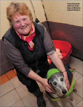  ??  ?? Fiona Gammell with one of the dogs at Wicklow Animal Welfare.