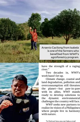  ??  ?? Briones Arsenio Cacliong from Isabela is one of the farmers who benefited from WWF’s agroforest­ry program.