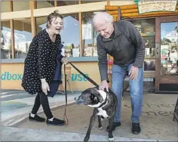  ?? Mel Melcon Los Angeles Times ?? “WE’RE DIVIDED — what do we do?” Ken Andreasen, 80, says of the country. Above, he greets Aida Turturro of New York and her dog in Ventura.
