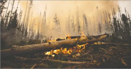  ?? CANADIAN PRESS/FILES THE ?? Exacerbate­d by climate change, B.C. wildfires in the last two years have released 33 times the amount CO2 than the average year in the 1990s.