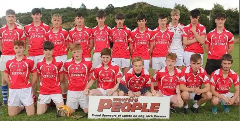  ??  ?? The successful squad from Moguegeen Gaels, the Fethard and Clongeen combinatio­n.