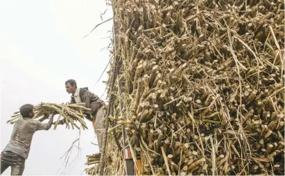  ?? Picture: Bloomberg ?? R4 BILLION ‘HOLE’. Without operating mills, the growers won’t be able to do anything with their cane.