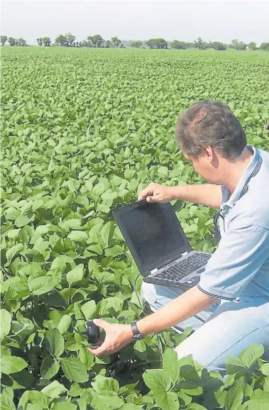  ??  ?? ARCHIVO CLARÍN Agro. Se buscarán perfiles para el desarrollo de negocios en agroquímic­os, fertilizan­tes y semillas.