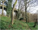  ??  ?? Above: The Aln Valley Railway's Cawledge Viaduct, which needed repairs costing £100,000.
TOM LLOYD/AVR