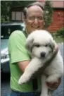  ?? DEAN FOSDICK VIA AP ?? This photo shows a Great Pyrenees pup being held by Art Hegeman of rural New Market, Va. The pup eventually grew to 120 pounds and was used as a livestock guardian dog to protect ornamental fowl from predators. Livestock guardian dogs can be a...
