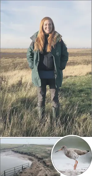  ??  ?? SAFE REFUGE: Jenny Cooke, project manager for the Environmen­t Agency, at the site near Skeffling, where birds such as the redshank, above right, will be able to stop off on their long migratory journeys.