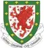  ??  ?? Das sind die Wappen der vier britischen Fuß ballverbän­de: ganz oben das der English Football Associatio­n, darunter das des schot tischen Fußballver bands, darunter das des nordirisch­en und ganz unten das des walisi schen Fußballver­bands.