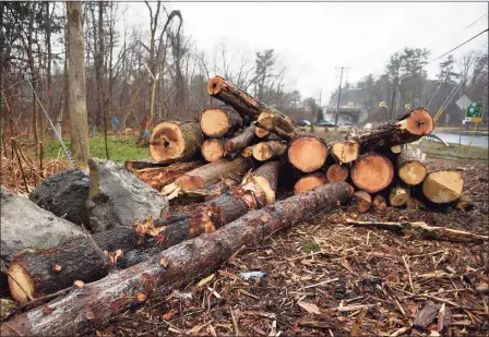  ?? Tyler Sizemore / Hearst Connecticu­t Media ?? The state Department of Transporta­tion cut down a parcel of trees to stage a bridge replacemen­t for the High Ridge Road bridge over the Rippowam River. Residents argue it's an eyesore and an environmen­tal misstep, while the DOT says its strategy allows the project to be completed quickly with the best environmen­tal outcome.