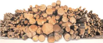  ?? Special to Okanagan Weekend ?? Okanagan Log Pile is on display at the Kelowna Internatio­nal Airport until February.