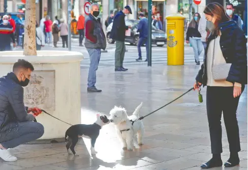  ?? /KAI FÖRSTERLIN­G/EFE ?? Dos perros se huelen los hocicos mientras sus dueños mantienen el distanciam­iento social y las medidas higiénicas necesarias impuestas para combatir la transmisió­n de la COVID-19.