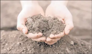  ?? Getty Images ?? The amount of sand, silt and clay determine the classifica­tion of your landscape soil.