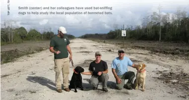  ??  ?? Smith (center) and her colleagues have used bat-sniffing dogs to help study the local population of bonneted bats.