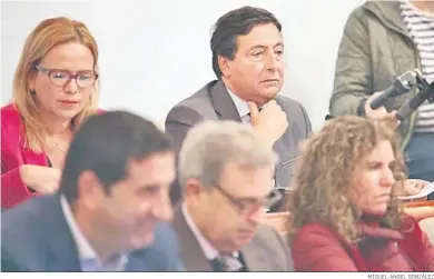  ?? MIGUEL ÁNGEL GONZÁLEZ ?? El delegado de Economía, Francisco Delgado, durante un pleno.