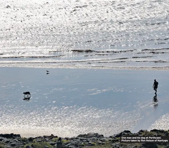  ??  ?? One man and his dog at Porthcawl. Picture taken by Ron Nelson of Nantyglo