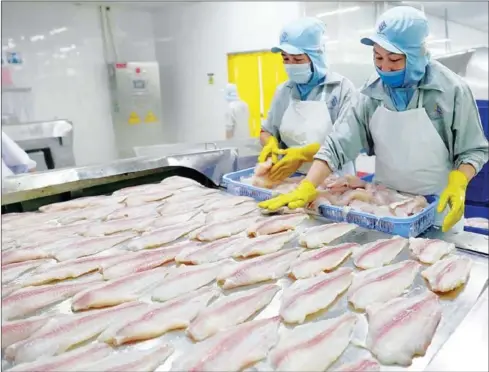  ?? VIETNAM NEWS AGENCY ?? Vietnam’s total ‘tra’ fish export value reached $646 million in the first quarter of 2022.