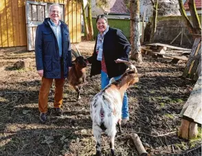  ?? Fotos: Claudia Deeney ?? Die beiden Ziegen auf Gut Morhard freuen sich über den Besuch der neuen Leiterin Elke Bäuml und von Heinz Paula, dem Vorsitzend­en des Tierschutz­vereins Augsburg.