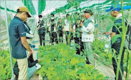  ?? SUPPLIED ?? Model farmer Chheav Hong (centre, in white) shows his facility to a visiting delegation in Siem Reap province last week.