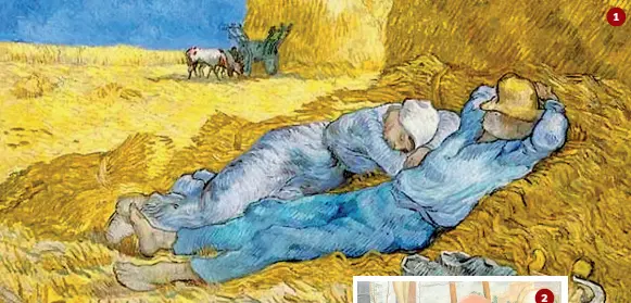  ??  ?? 1 La siesta, uno dei capolavori di Vincent Van Gogh. L’opera dell’olandese è al centro della prossima mostra a Padova 2 Il curatore trevigiano della mostra, Marco Goldin 3 Il sindaco di Treviso, Mario Conte, che con il critico d’arte aveva trattato sulla mostra, senza trovare un’intesa. 4 Uno dei girasoli di Van Gogh