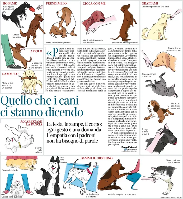  ?? Illustrazi­oni di Francesca Rosa ??