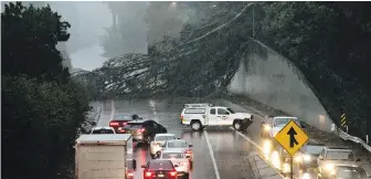  ?? SAN FRANCISCO CHRONICLE VIA AP ?? A eucalyptus tree blocks the northbound lanes of Highway 13 in Oakland, California, on Thursday after heavy rain fell across the region.