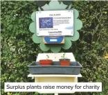  ??  ?? Surplus plants raise money for charity