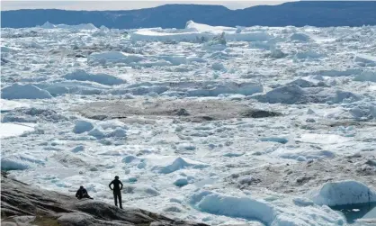  ?? Photograph: Sean Gallup/ Getty ?? Free-floating ice jammed into the Ilulissat Icefjord during unseasonab­ly warm weather in western Greenland.