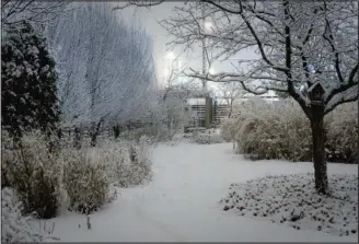  ?? THERESA FORTE Special to QMI Agency Niagara ?? This night shot of the author’s garden captures the magic of the winter garden.