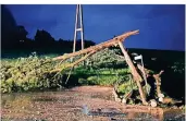  ?? FOTO: FEUERWEHR ?? Ein Baum drohte, auf eine Stromleitu­ng in Xanten zu fallen.