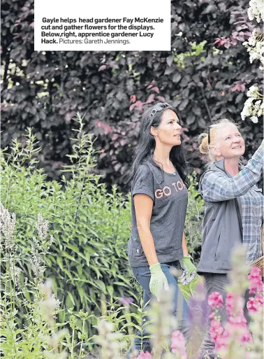  ?? Pictures: Gareth Jennings. ?? Gayle helps head gardener Fay McKenzie cut and gather flowers for the displays. Below,right, apprentice gardener Lucy Hack.