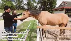  ??  ?? LADANG ternakan kuda di UPM sentiasa dikunjungi orang ramai.