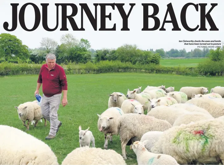  ?? PICTURES: MARK LEWIS ?? Ian Clatworthy checks the ewes and lambs that have been turned out to pasture