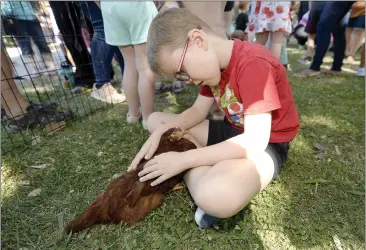  ?? PHOTOS BY JOEL ROSENBAUM — THE REPORTER ?? Evan Warren, 7of Vacaville spends some quality time with Shirley Temple, at Rhode Island Red chicken from the All About A Farm mobile petting zoo of Davis, during their visit Wednesday morning at the Vacaville Town Square Library. The event is part of the Solano County Library's Summer Reading Challenge which runs until July 31.