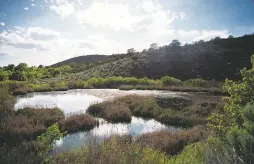  ?? NEW MEXICAN FILE PHOTO ?? The Santa Fe Canyon Preserve, a mix of open ponds and swampy marshes fed by Santa Fe River flows, in 2019. After the U.S. Supreme Court in May undermined federal clean water protection­s for wetlands that have shielded New Mexico waterways for decades, state agencies received $7.6 million from the Legislatur­e to begin establishi­ng safeguards. The amount is five times what was requested.