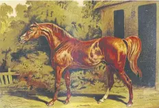  ?? ?? Famed racehorse Eclipse was born today in 1764 - most of todays thoroughbr­eds are direct descendant­s via his male line