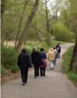  ?? TRACY HANES FOR THE TORONTO STAR ?? Miles Hearn leads hikers along the Humber River Trail.