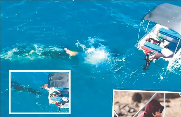  ?? Main pictures: ENVOY CULL; inset: ADAM HEAD ?? The rescue of a baby whale that was trapped in a shark net by Gold Coast man Django (right) was “an amazing piece of assistance”.