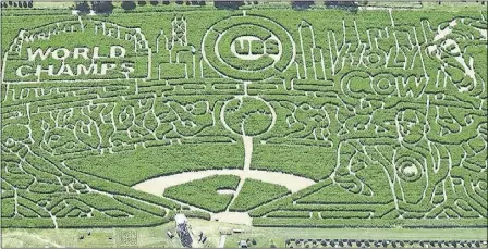  ?? COURTESY OF RICHARDSON ADVENTURE FARM ?? An aerial view of the Chicago Cubs-themed corn maze at Richardson Adventure Farm in Spring Grove, Ill.