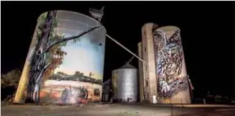  ?? PHOTO: KDog Photograph­y ?? ENDANGERED: This mural of Milli the endangered Barking Owl was created after the artist studied more that 300 photograph­s of the bird.