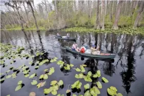  ?? AP PHOTO/STEPHEN B. MORTON ?? In 2022, a group of visitors return to Stephen C. Foster State Park after an overnight camping trip on the Red Trail in the Okefenokee National Wildlife Refuge in Fargo, Ga.