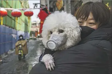  ?? Kevin Frayer Getty Images ?? A WOMAN and her dog wear protective masks in Beijing. While viruses are often transmitte­d from animals to humans, the reverse is also possible. Dogs and cats have contended with their own strains of coronaviru­s.