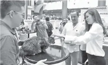  ??  ?? TENGKU Norashikin (kanan) hadir melawat Ekspo Kucing di Matrade, Kuala Lumpur. — Gambar Bernama