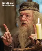  ??  ?? DUMB And Dumbledore