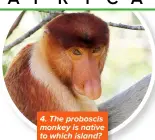  ?? ?? 4. The proboscis monkey is native to which island?