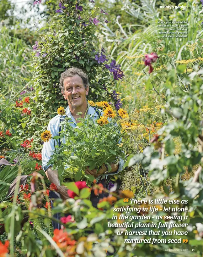  ??  ?? Monty grows many of the plants in the Jewel Garden from seed, including fennel, cosmos, poppies and some rudbeckias