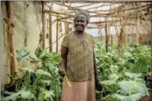  ?? THE ASSOCIATED PRESS ?? In this April photo provided by GiveDirect­ly, GiveDirect­ly basic income recipient and farmer Benter Were poses for a photo near Lake Victoria in Kenya. Hawaii is considerin­g doling out universal basic income, where everyone gets a chunk of money with...