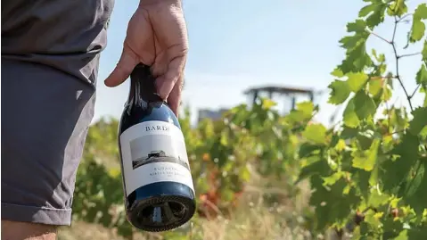  ??  ?? Los vinos de Bardos nacen de los viñedos más inhóspitos de la Ribera burgalesa.